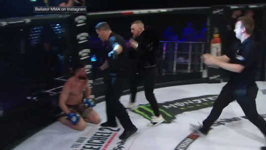 Conor McGregor agresse un arbitre !